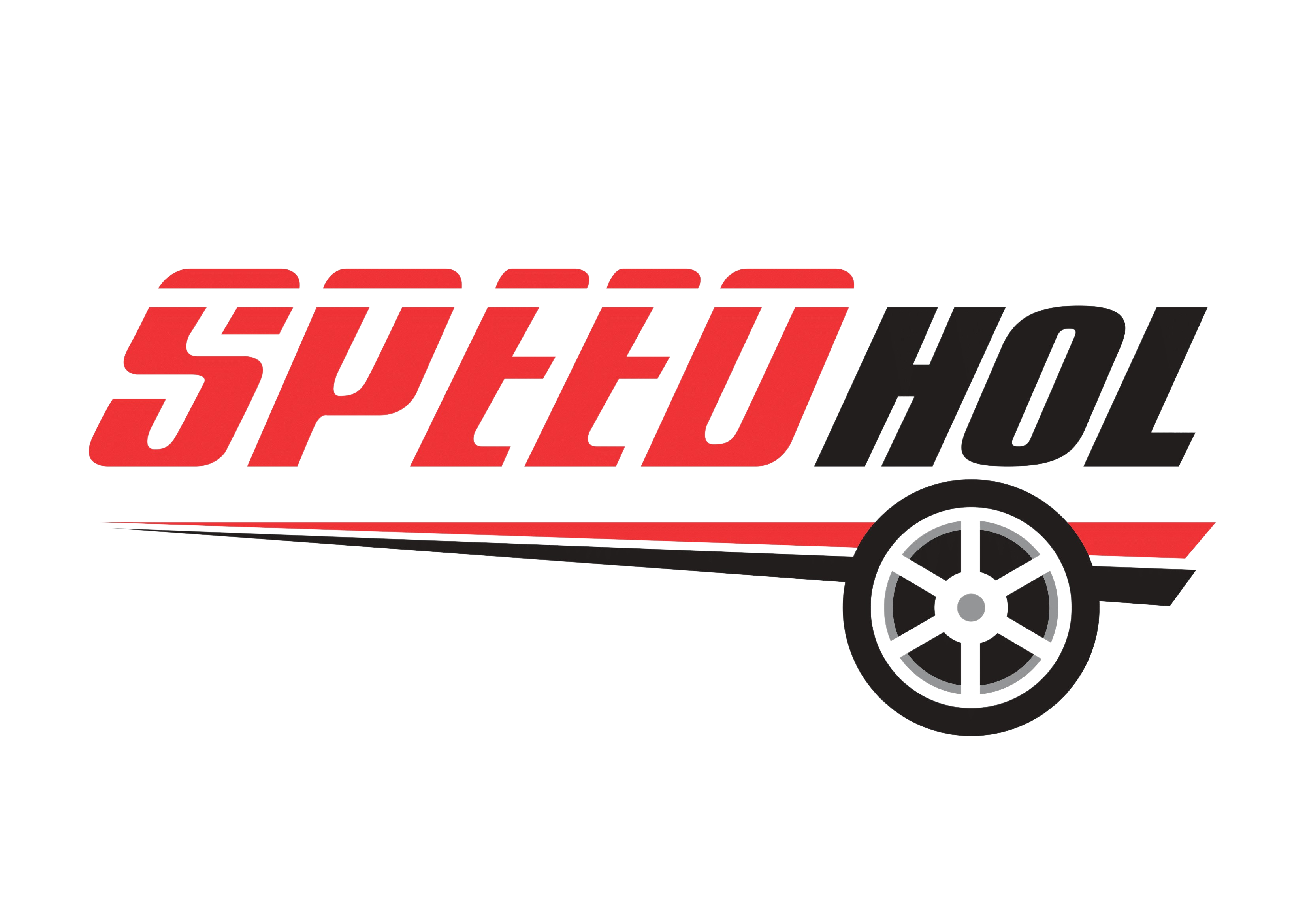 Logo speedhol